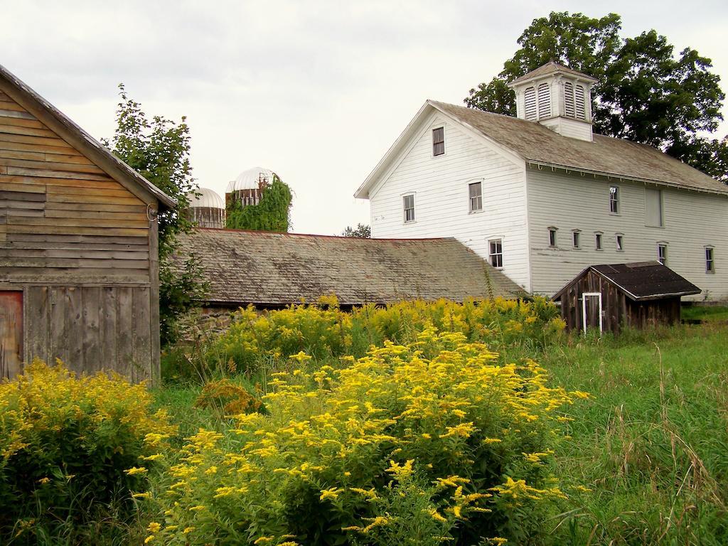 Saratoga Farmstead B&B Саратога-Спрингс Экстерьер фото