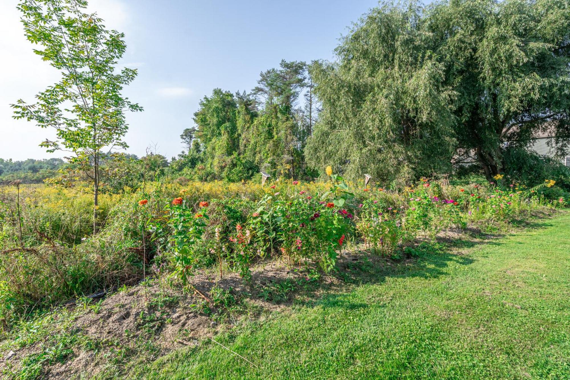 Saratoga Farmstead B&B Саратога-Спрингс Экстерьер фото