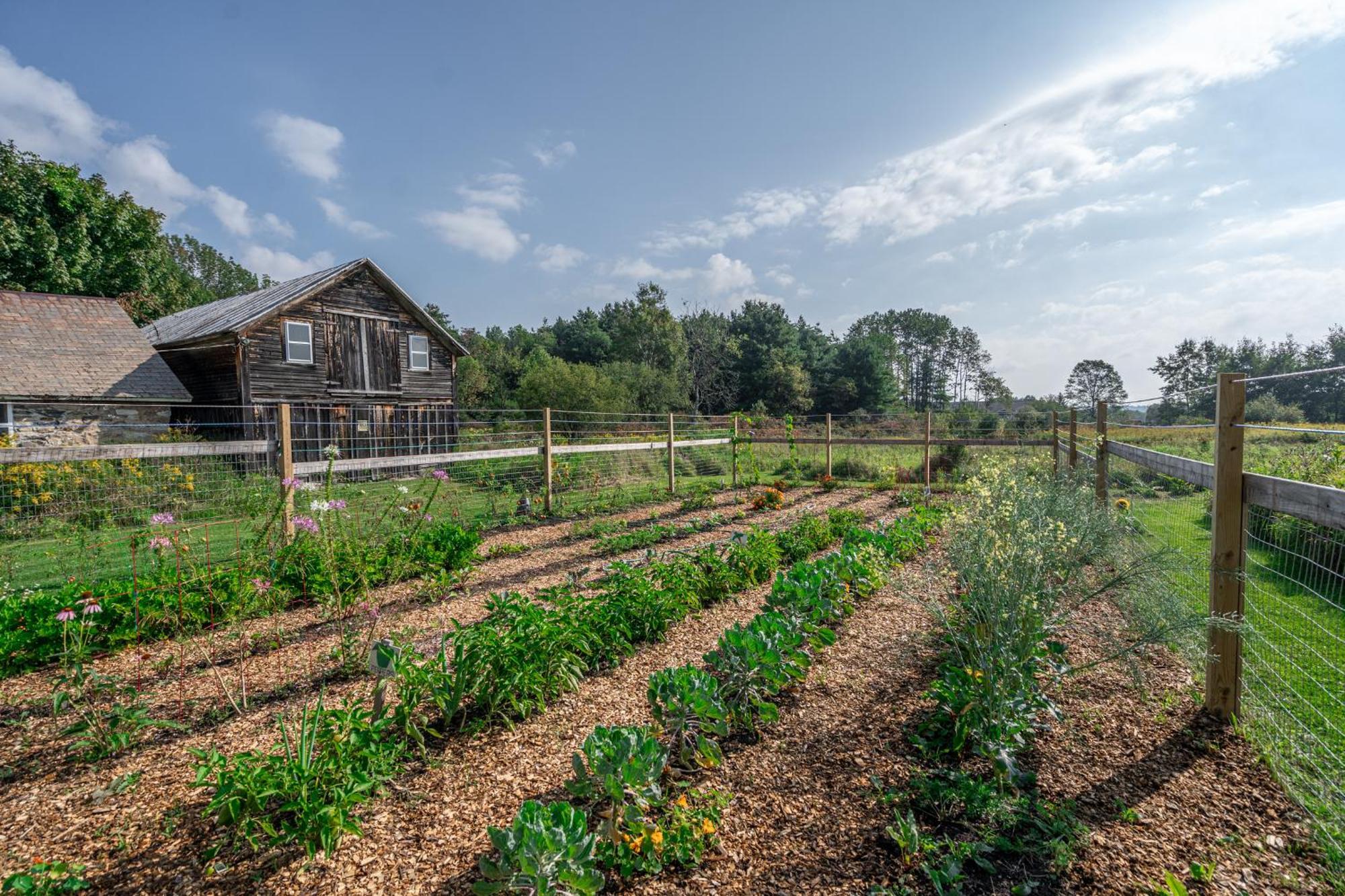 Saratoga Farmstead B&B Саратога-Спрингс Экстерьер фото